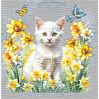 Animal Integration-DW 274